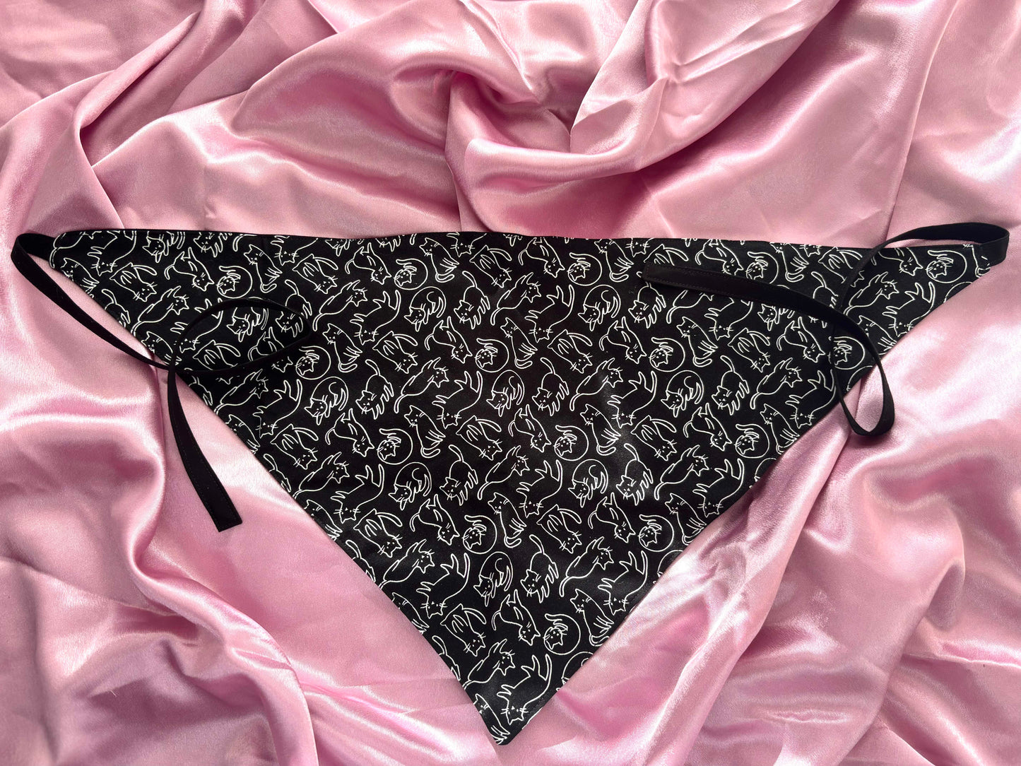Here Kitty Kitty Bandana