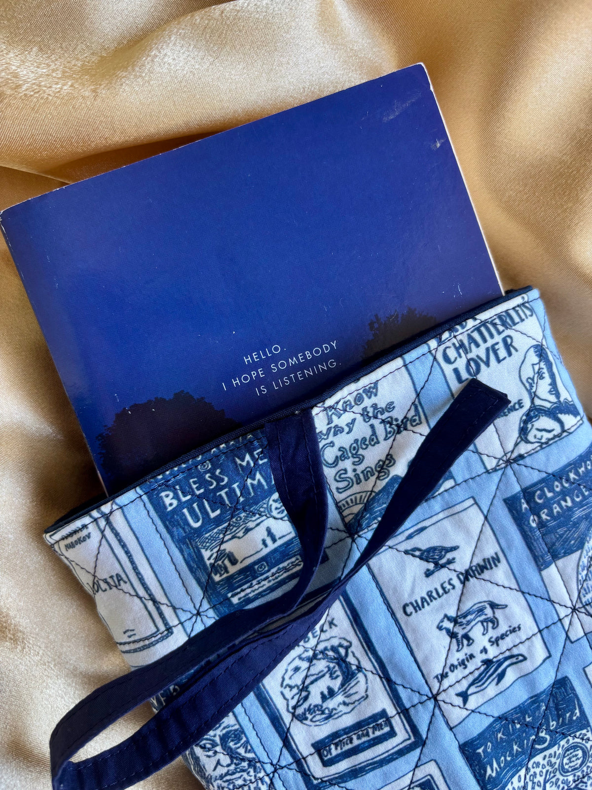 You Can't Ban An Idea Book Sleeve
